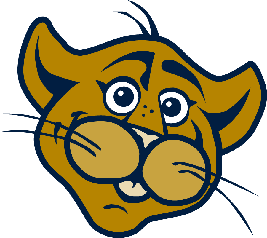 FIU Panthers 2017-Pres Mascot Logo diy iron on heat transfer